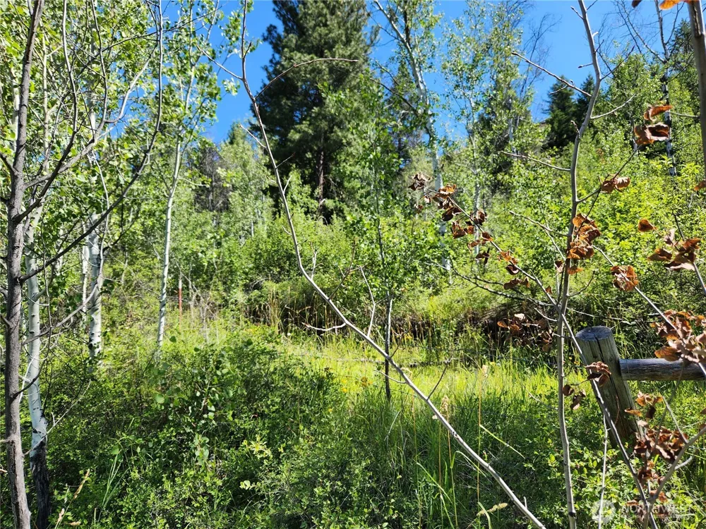 18 Robin Road Republic, WA 99166