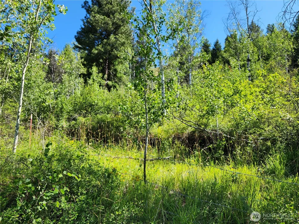 18 Robin Road Republic, WA 99166