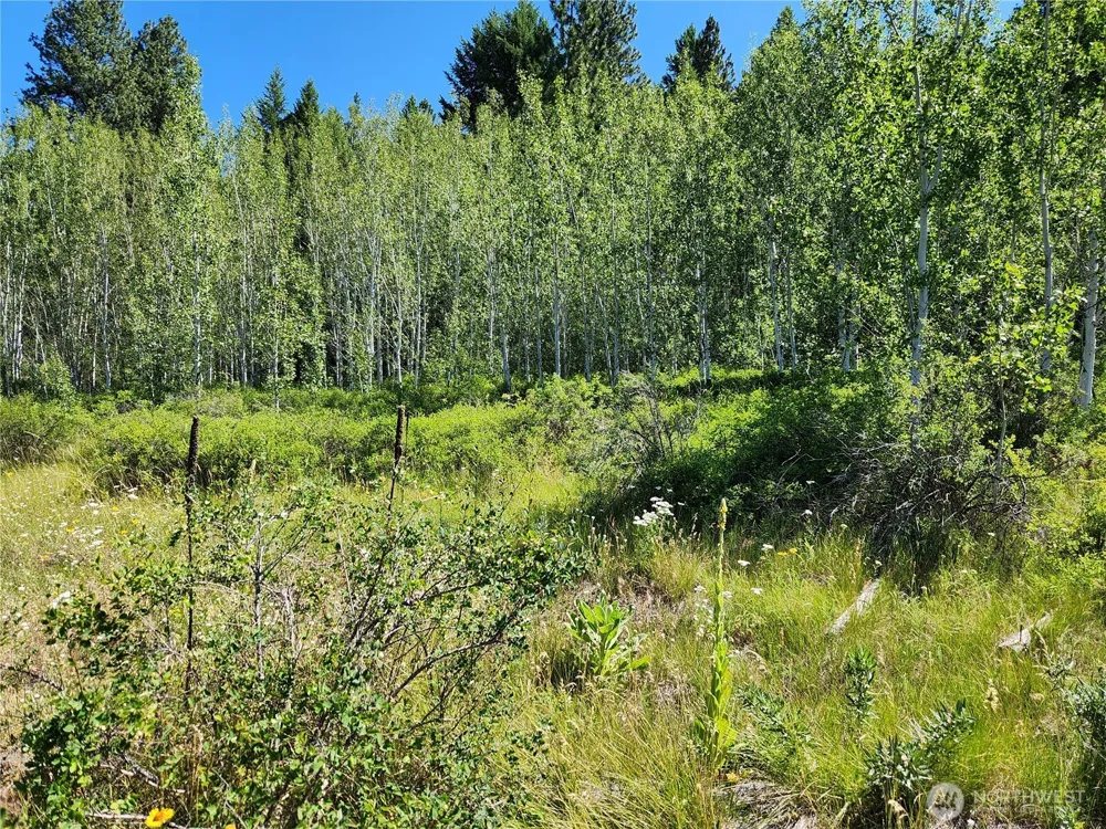 18 Robin Road Republic, WA 99166
