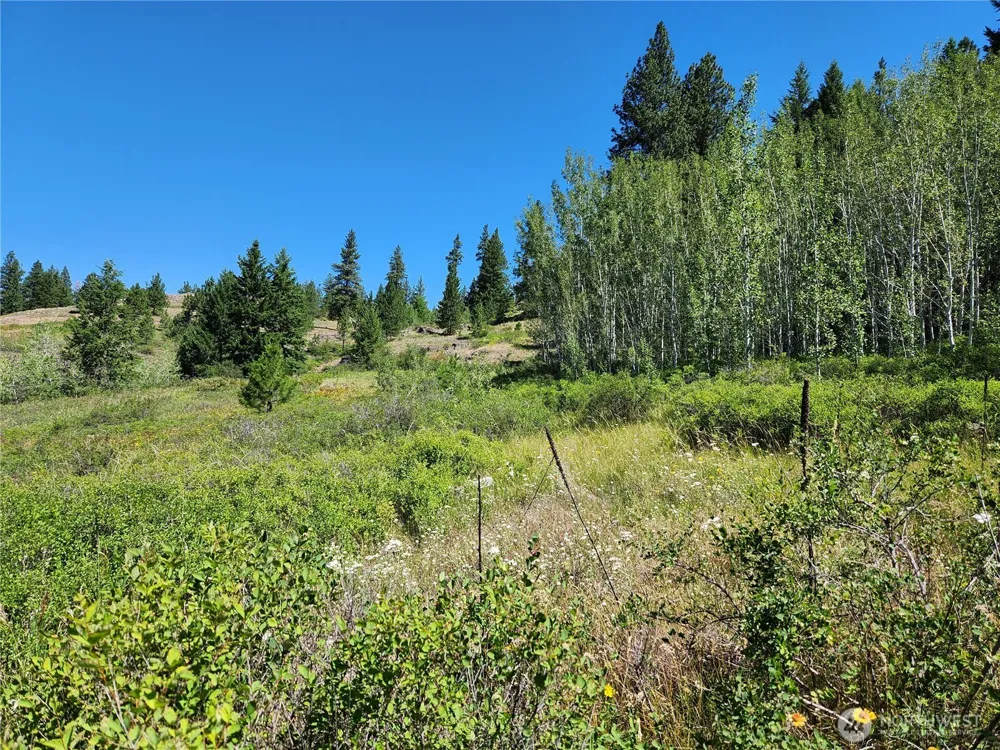 18 Robin Road Republic, WA 99166