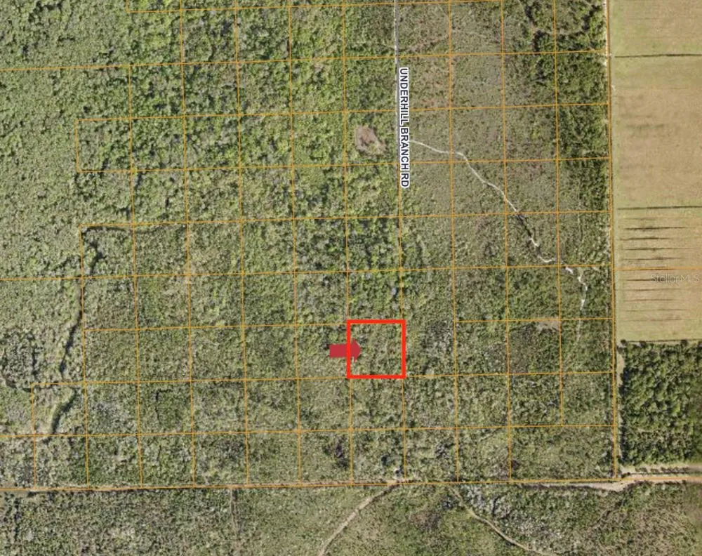 LAKE HARNEY ROAD Osteen, FL 32764