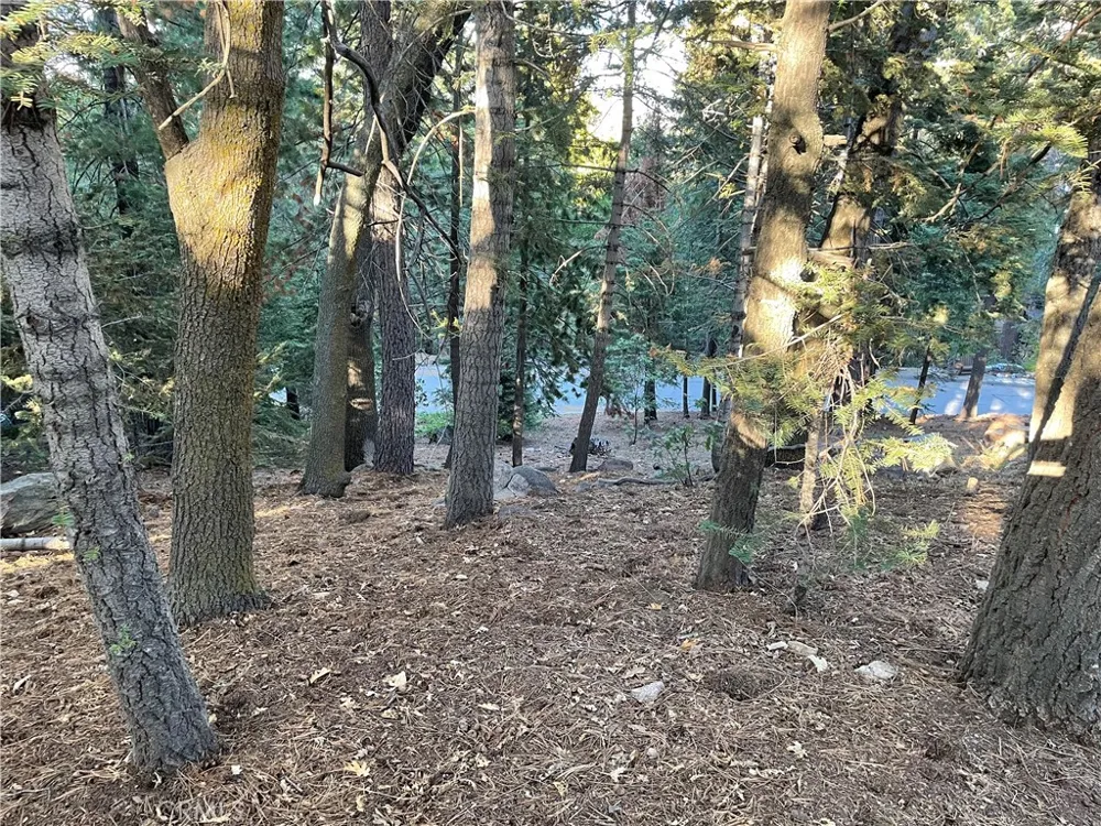 26405 Walnut Hills Lake Arrowhead, CA 92391