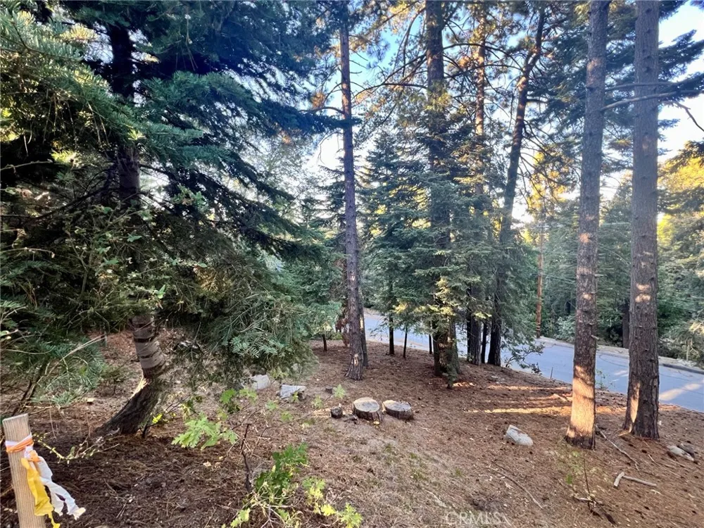 26405 Walnut Hills Lake Arrowhead, CA 92391