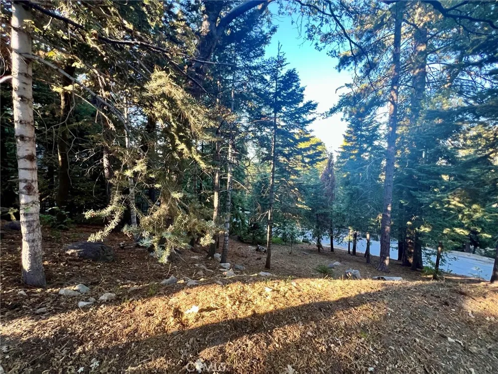 26405 Walnut Hills Lake Arrowhead, CA 92391