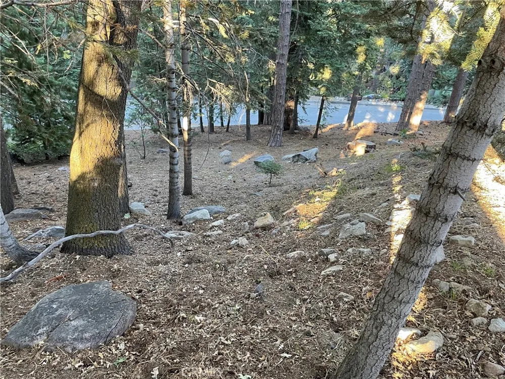 26405 Walnut Hills Lake Arrowhead, CA 92391