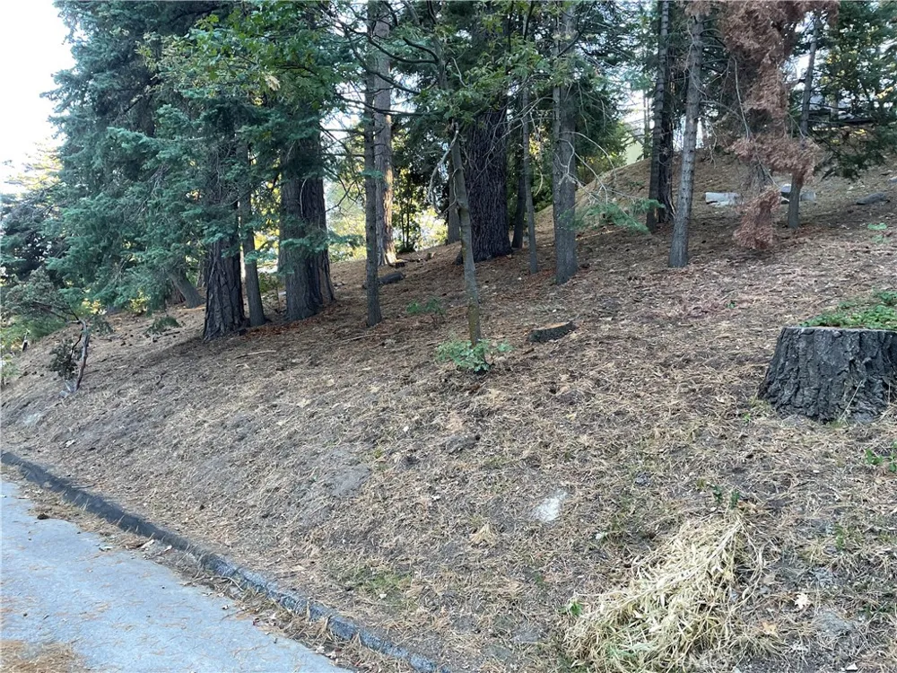 26405 Walnut Hills Lake Arrowhead, CA 92391