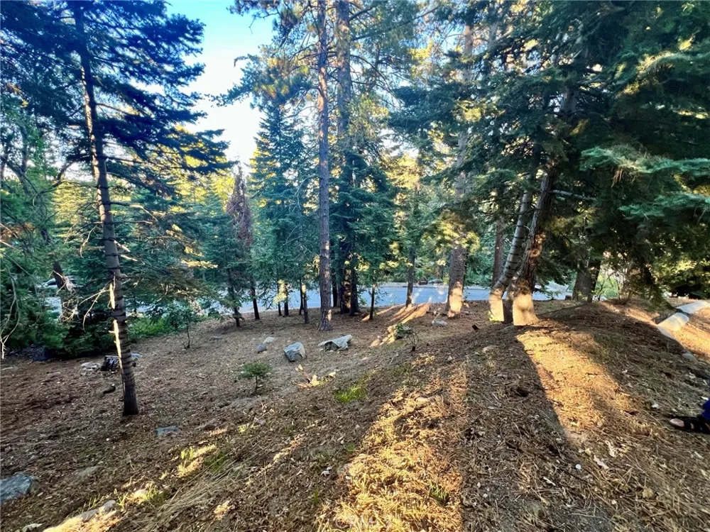 26405 Walnut Hills Lake Arrowhead, CA 92391