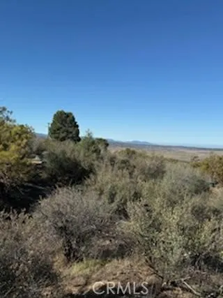 Reynolds Anza, CA 92539