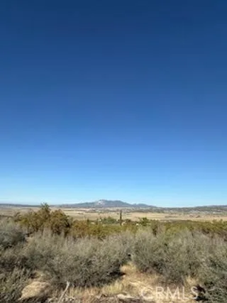 Reynolds Anza, CA 92539