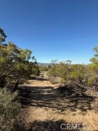 Reynolds Anza, CA 92539