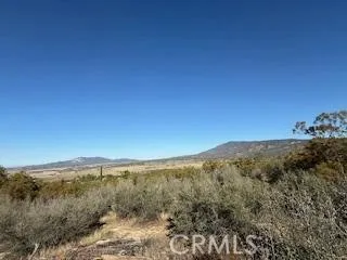 Reynolds Anza, CA 92539