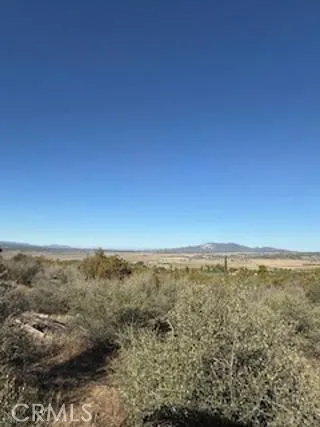 Reynolds Anza, CA 92539