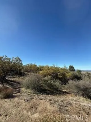 Reynolds Anza, CA 92539