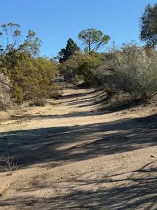 Reynolds Anza, CA 92539
