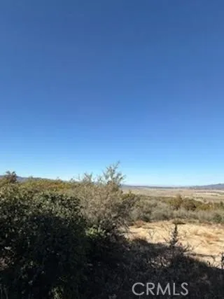 Reynolds Anza, CA 92539