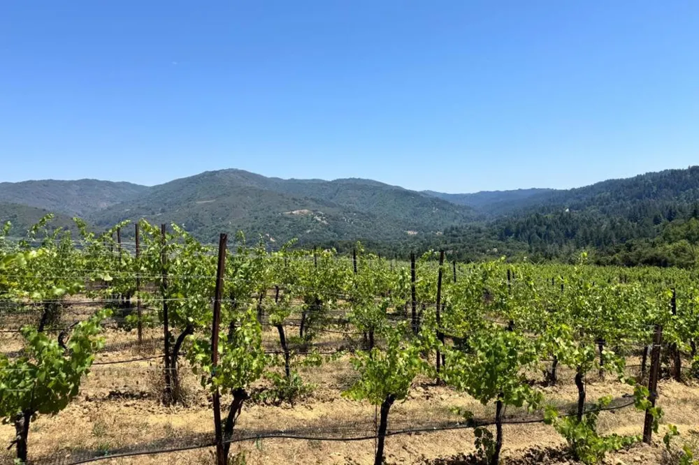18590 Black Road Los Gatos, CA 95033