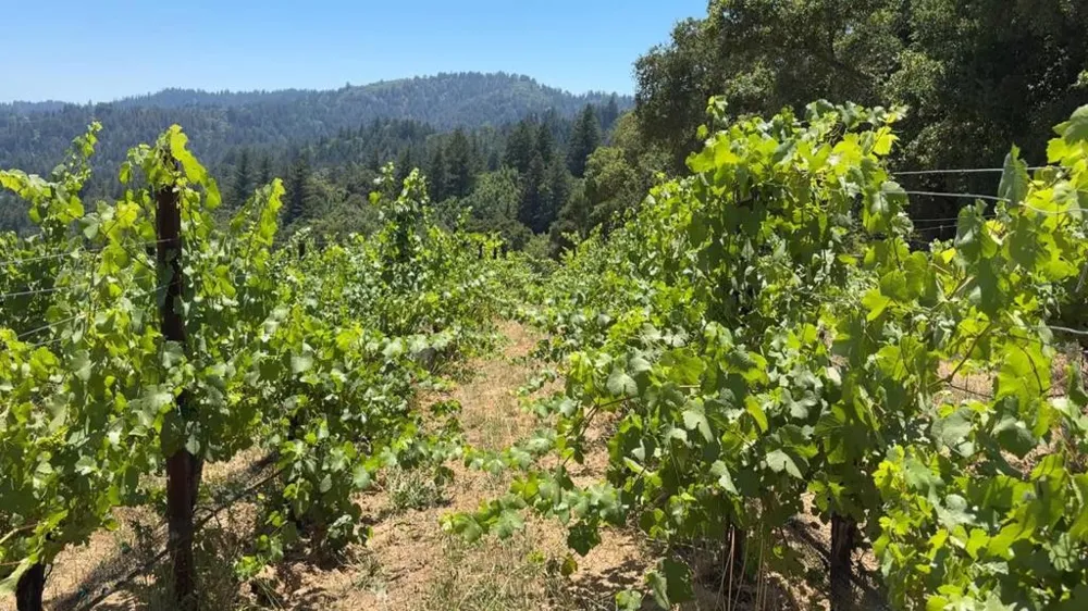 18590 Black Road Los Gatos, CA 95033
