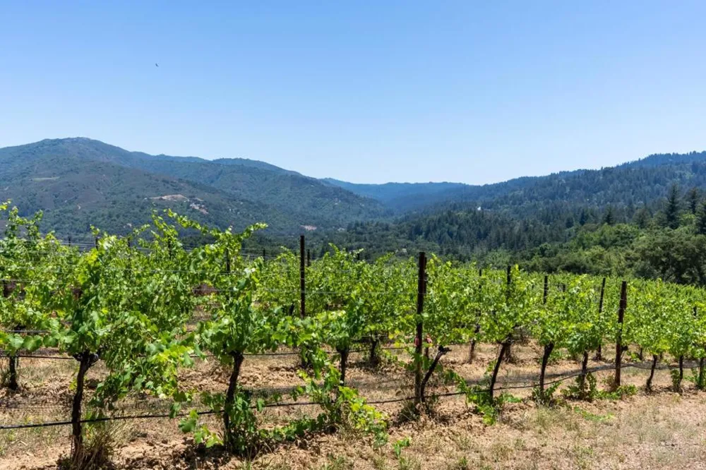 18590 Black Road Los Gatos, CA 95033