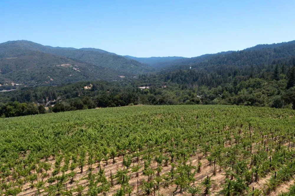 18590 Black Road Los Gatos, CA 95033