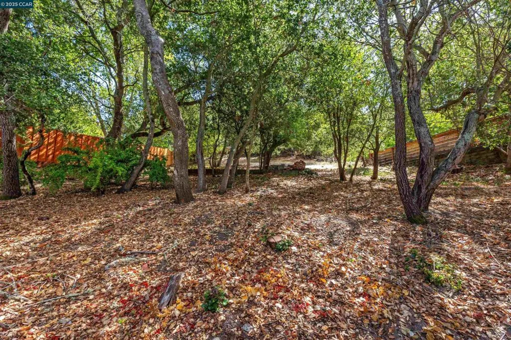 184 Glorietta Blvd Orinda, CA 94563