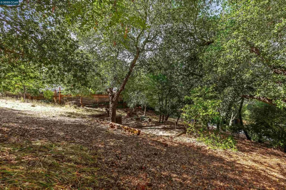 184 Glorietta Blvd Orinda, CA 94563