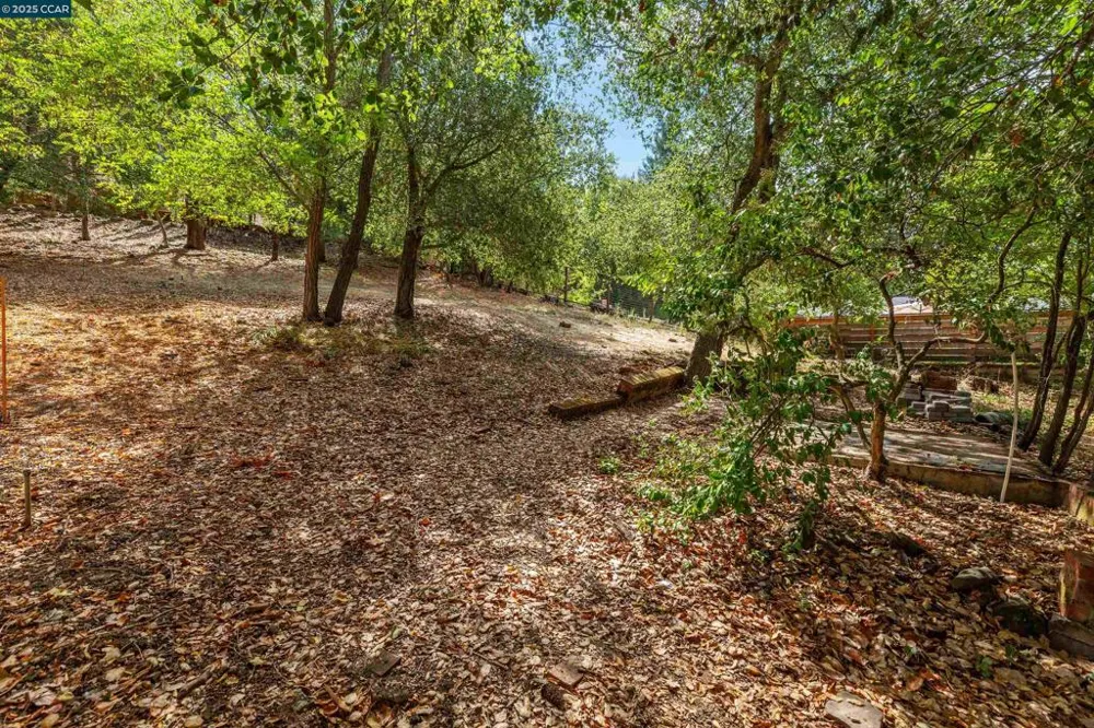 184 Glorietta Blvd Orinda, CA 94563