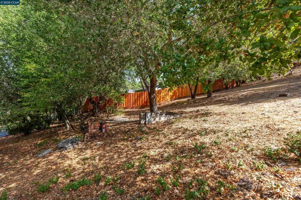 184 Glorietta Blvd Orinda, CA 94563
