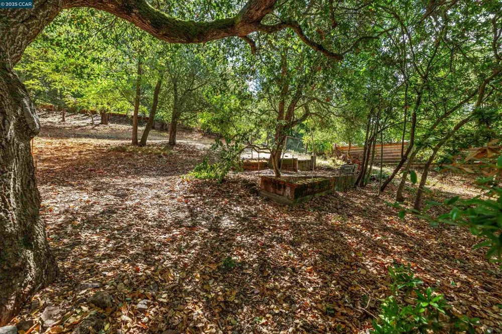 184 Glorietta Blvd Orinda, CA 94563