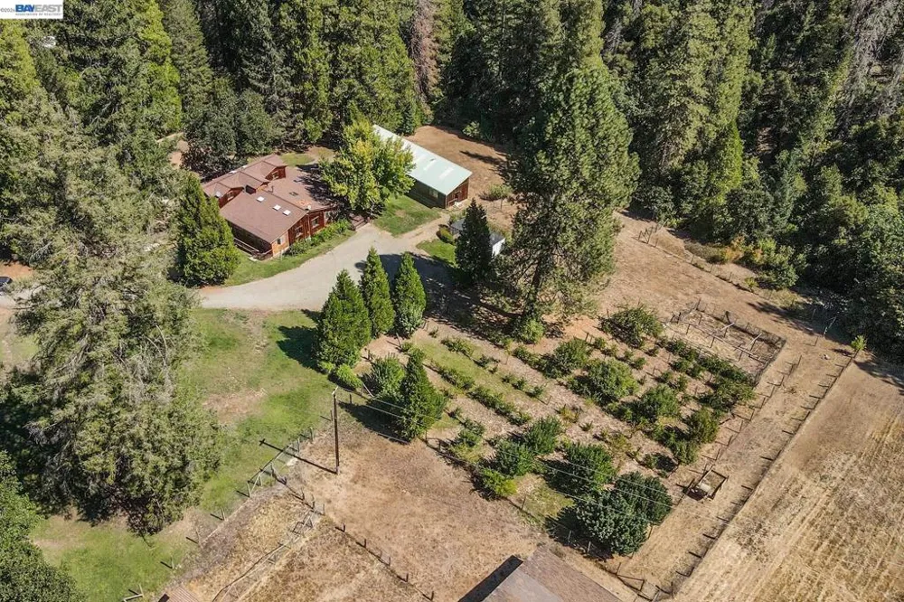 4481 Rush Creek Rd Lewiston, CA 96052