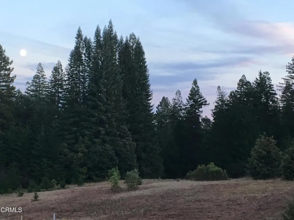 28580 Comptche Ukiah Road Comptche, CA 95427
