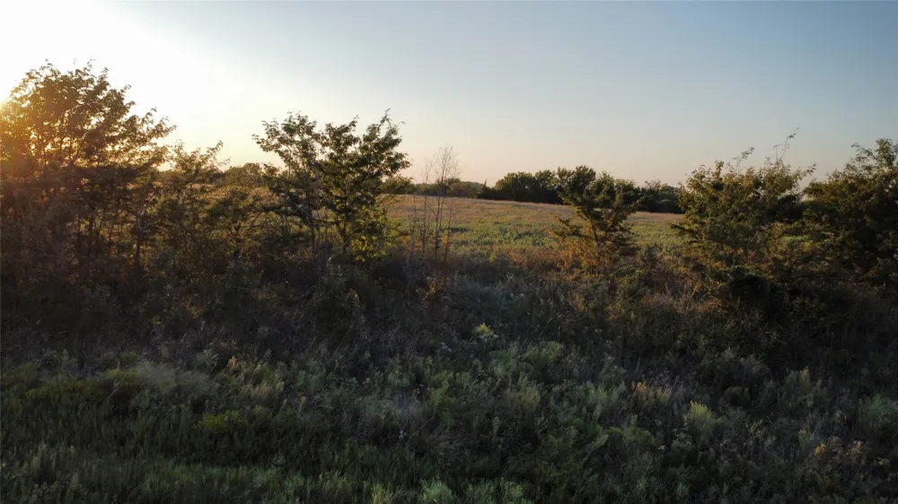 537 Willow Court St Jo, TX 76265