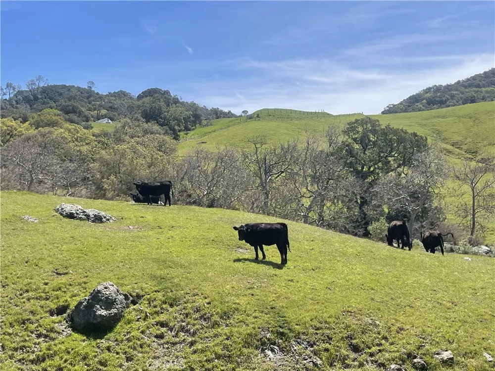 3265 Cypress Mountain Rd Templeton, CA 93465