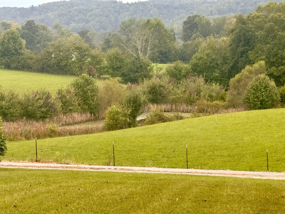 12343 Griffith Rd Pikeville, TN 37367