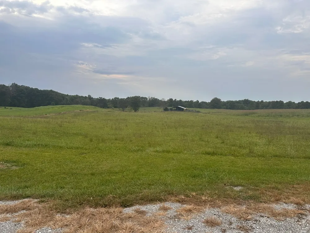 12343 Griffith Rd Pikeville, TN 37367