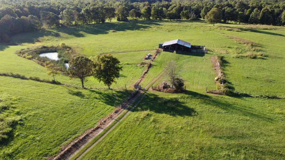 12343 Griffith Rd Pikeville, TN 37367