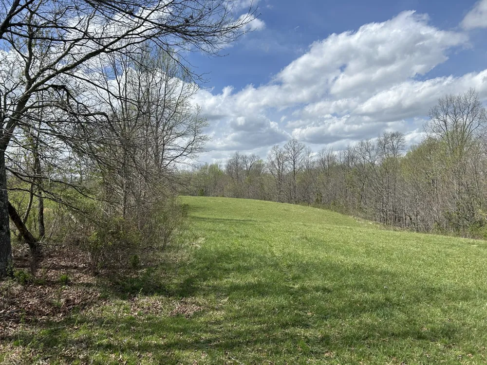 12343 Griffith Rd Pikeville, TN 37367