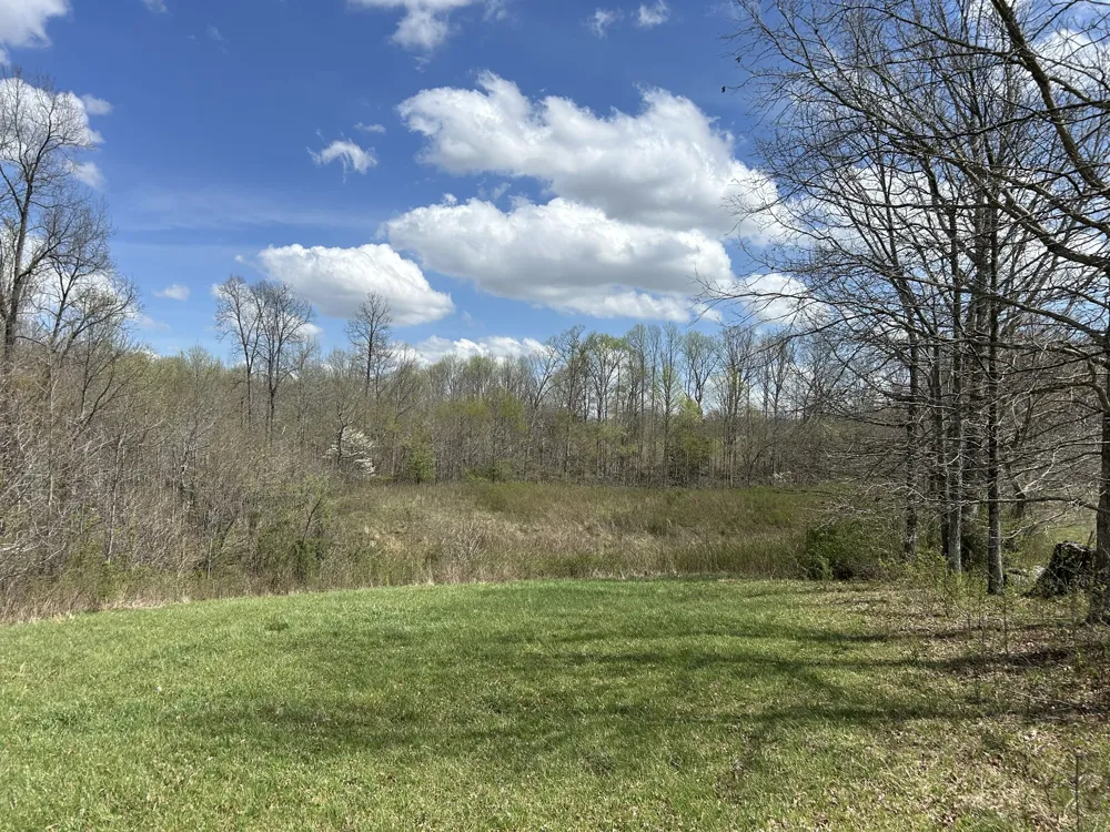 12343 Griffith Rd Pikeville, TN 37367