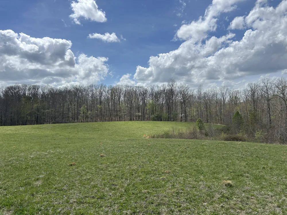 12343 Griffith Rd Pikeville, TN 37367