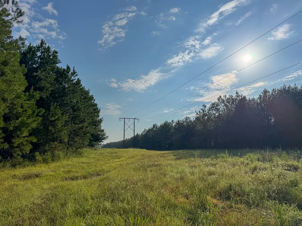 3 Big Hill Fire Tower Road Robeline, LA 71469