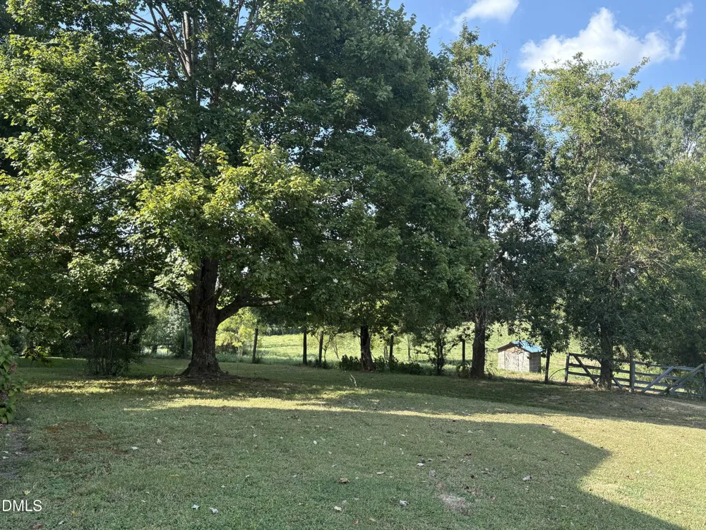 1204 Winfred Brady Road Bennett, NC 27208
