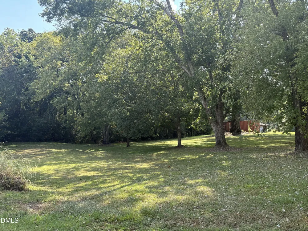 1204 Winfred Brady Road Bennett, NC 27208