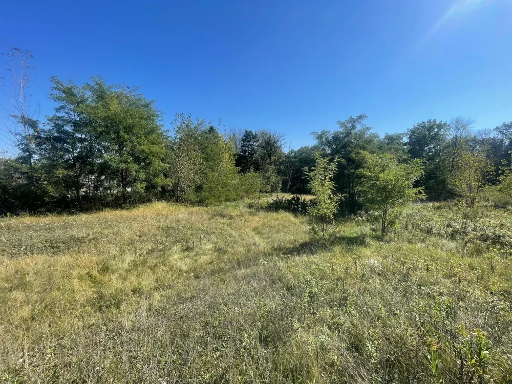 1112 Timber Path Menomonie, WI 54751