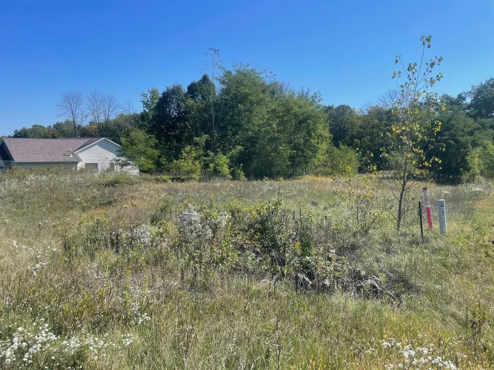 1112 Timber Path Menomonie, WI 54751