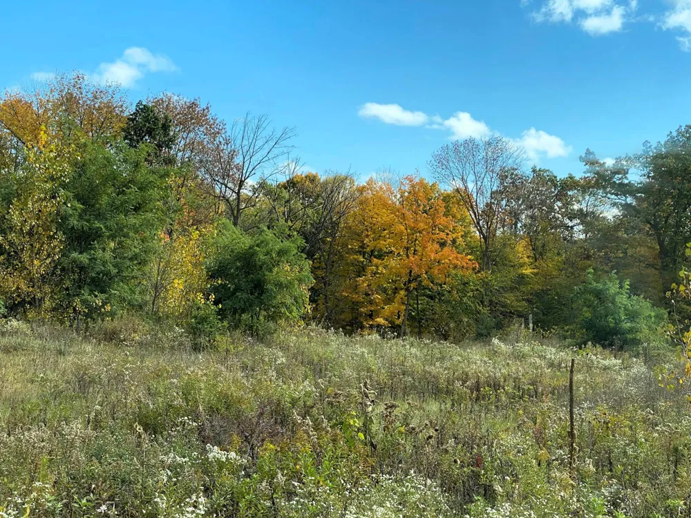 1112 Timber Path Menomonie, WI 54751