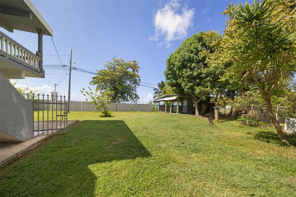 CARR. 3 BO. GUARDARRAYA SECTOR COOPERATIVO #KM 113.3 Patillas, PR 00723