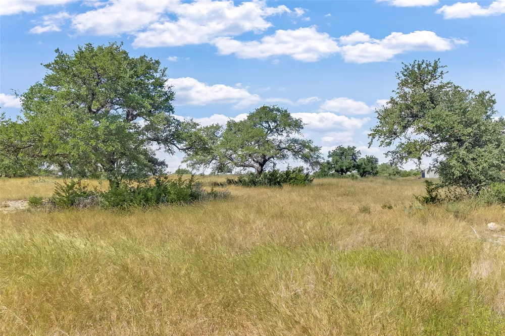 33 Vista Ridge Drive Round Mountain, TX 78663