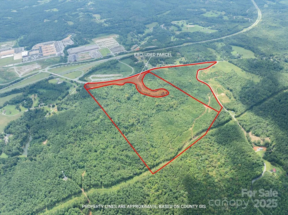 TBD Pea Ridge Road Mill Spring, NC 28756