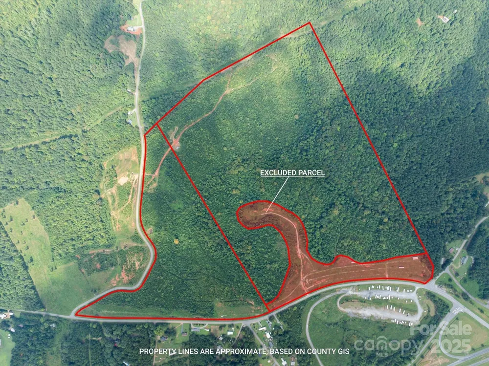 TBD Pea Ridge Road Mill Spring, NC 28756