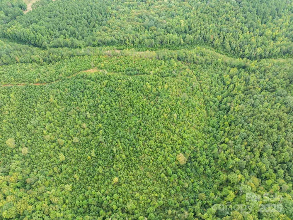 TBD Pea Ridge Road Mill Spring, NC 28756