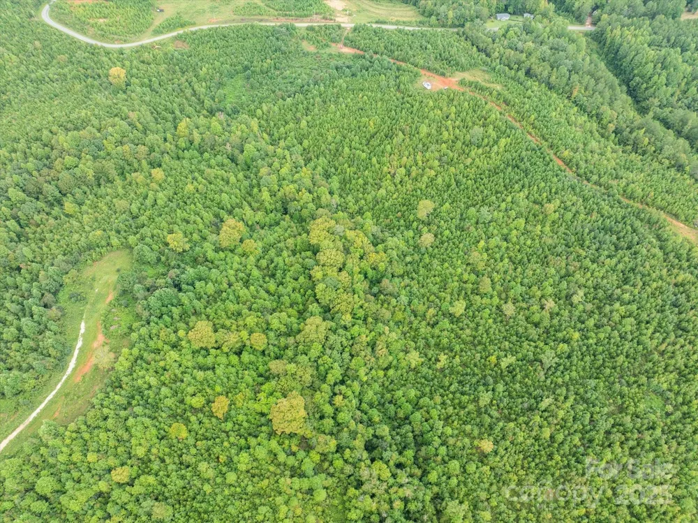 TBD Pea Ridge Road Mill Spring, NC 28756